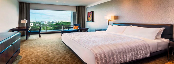 806/Le Meridien - Nagpur 15.jpg